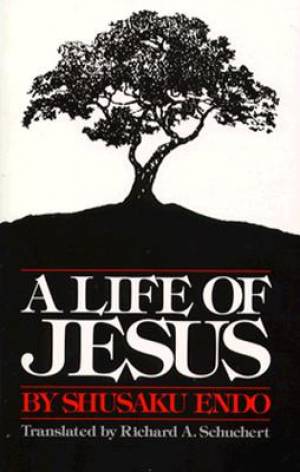 Image of A Life of Jesus other