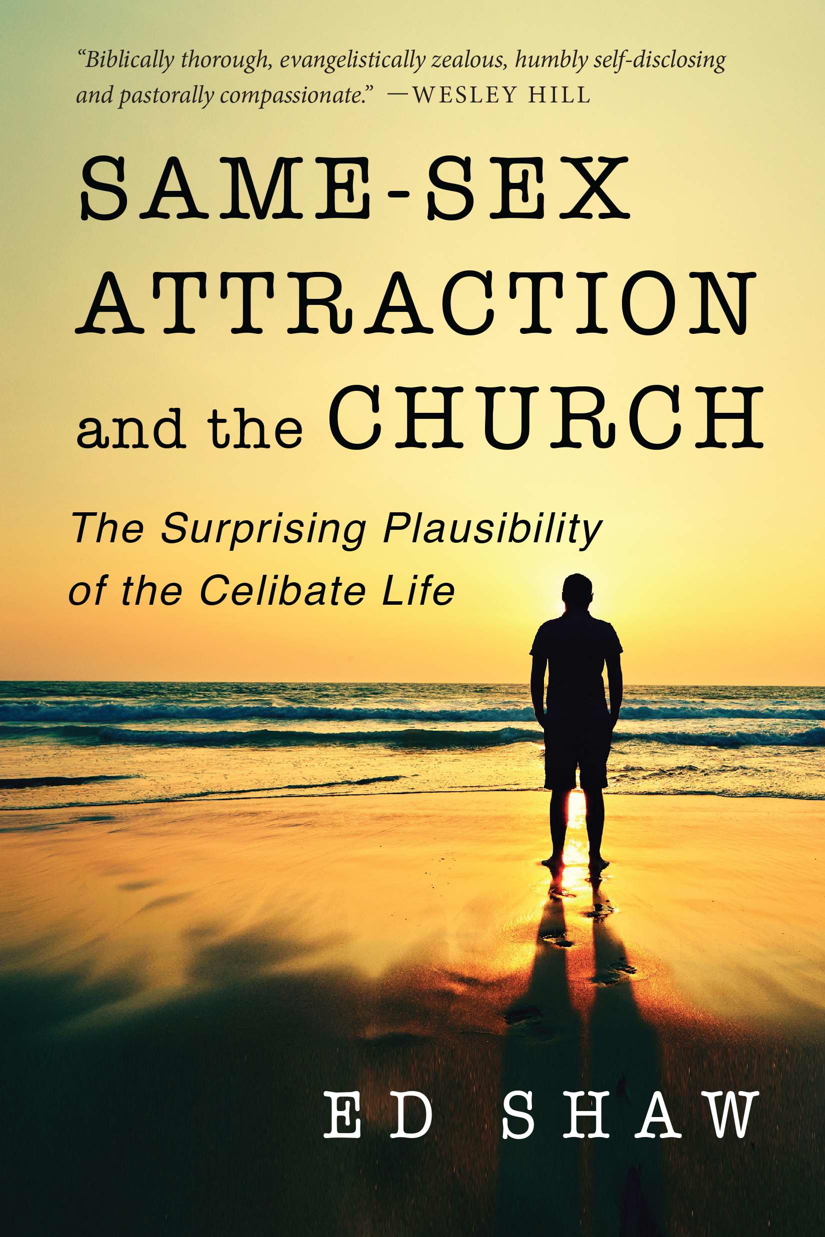 Image of Same-Sex Attraction and the Church: The Surprising Plausibility of the Celibate Life other