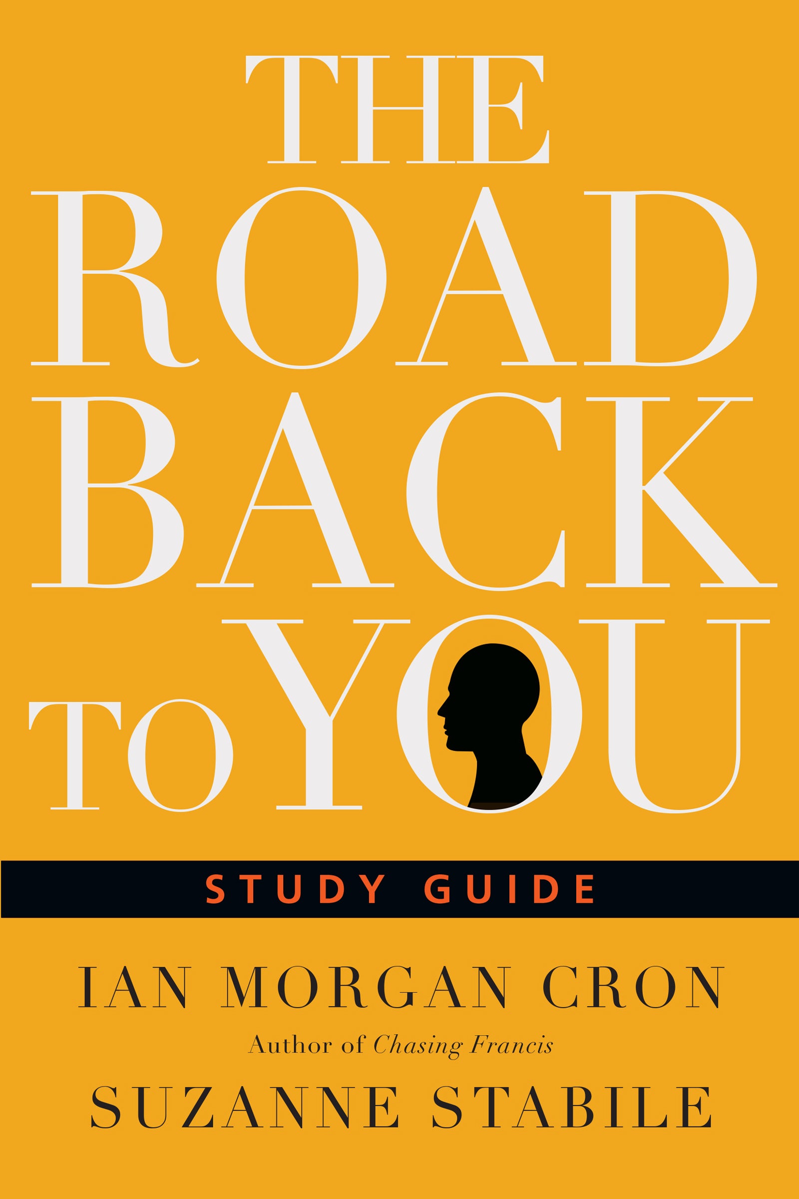 Image of The Road Back to You Study Guide other