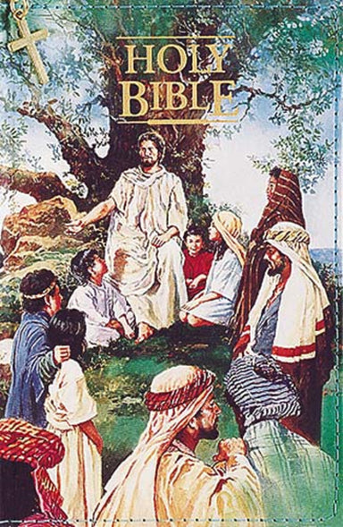 Image of KJV Children's Seaside Bible other
