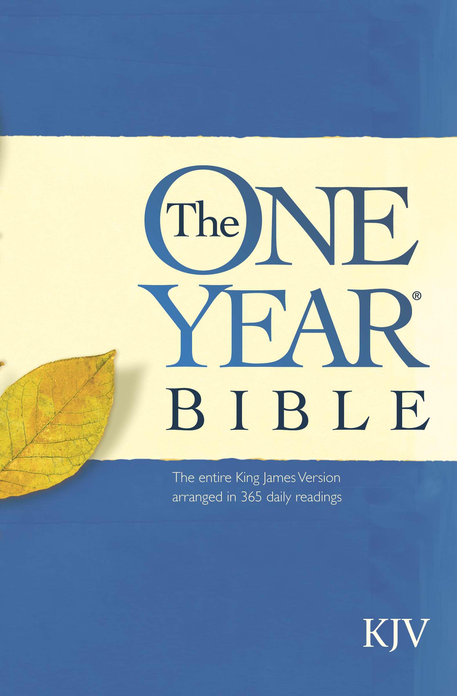 Image of KJV One Year Bible: Paperback other