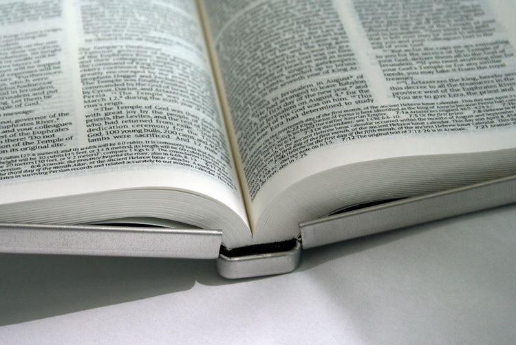 Image of NLT 'Thirsty' Bible: Silver, Metal other