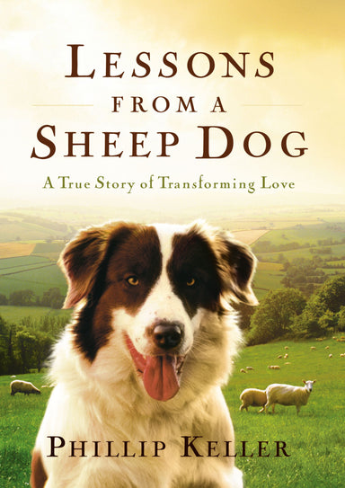 Image of Lessons From A Sheep Dog other