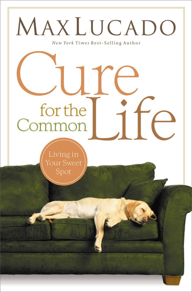 Image of Cure For The Common Life Paperback Book other