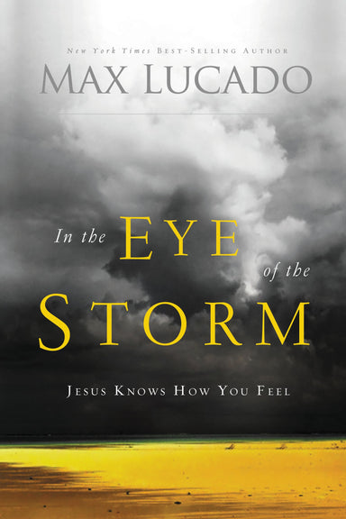 Image of In the Eye of the Storm other