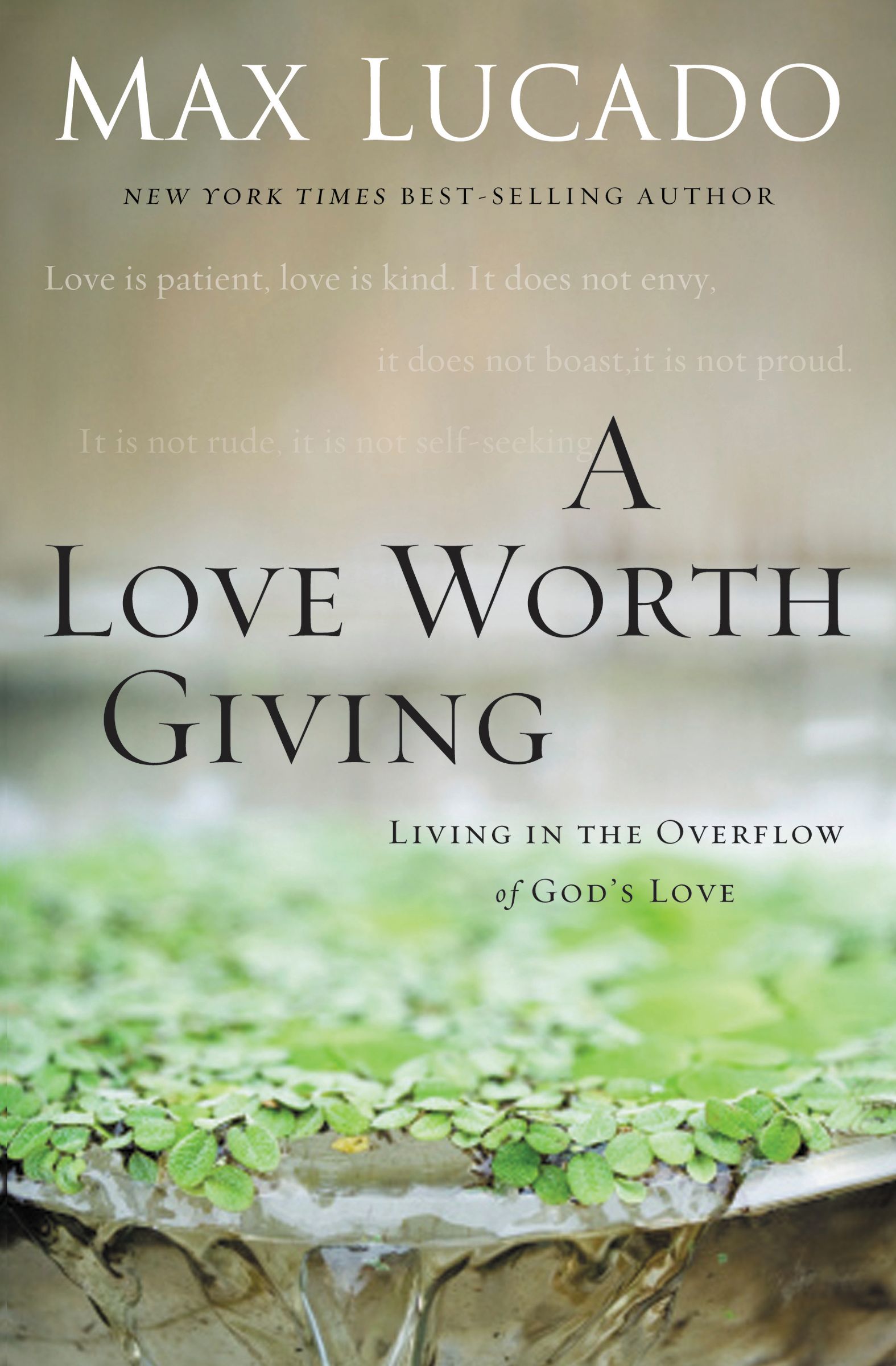 Image of A Love Worth Giving other