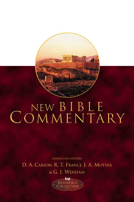 Image of New Bible Commentary other