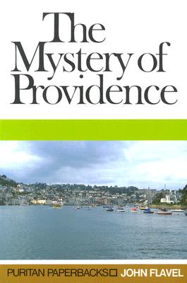 Image of The Mystery of Providence other