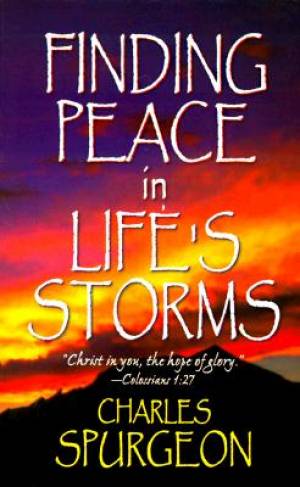 Image of Finding Peace in Life's Storms other
