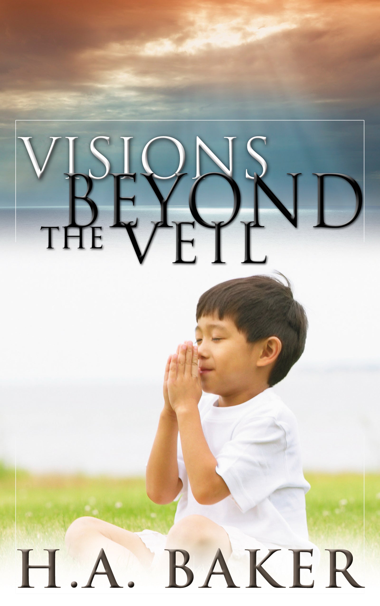 Image of Visions Beyond The Veil other