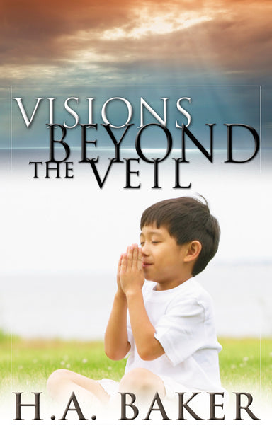 Image of Visions Beyond The Veil other
