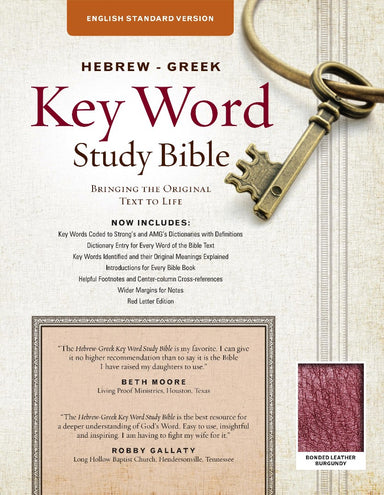Image of The Hebrew-Greek Key Word Study Bible other