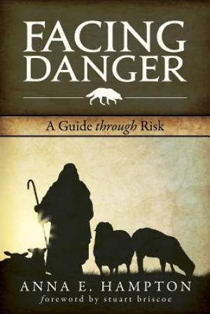 Image of Facing Danger: A Guide Through Risk other