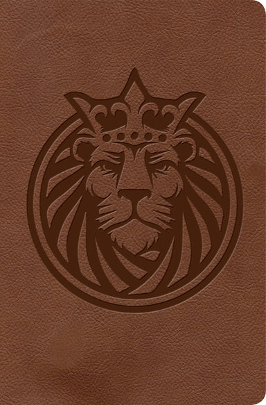 Image of KJV Kids Bible, Lion LeatherTouch other