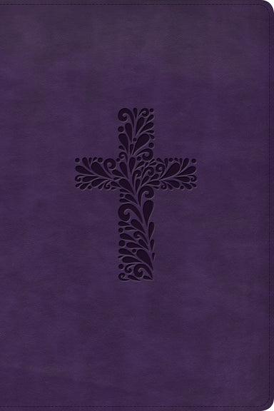 Image of KJV Rainbow Study Bible, Purple LeatherTouch other