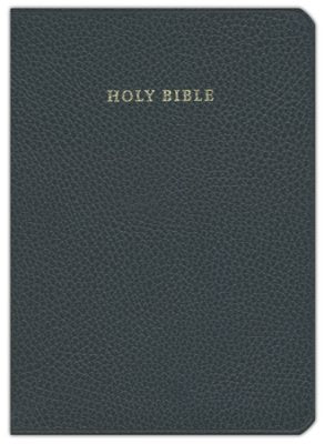 Image of NIV Clarion Reference Bible, Calf Split Leather, NI484:X other