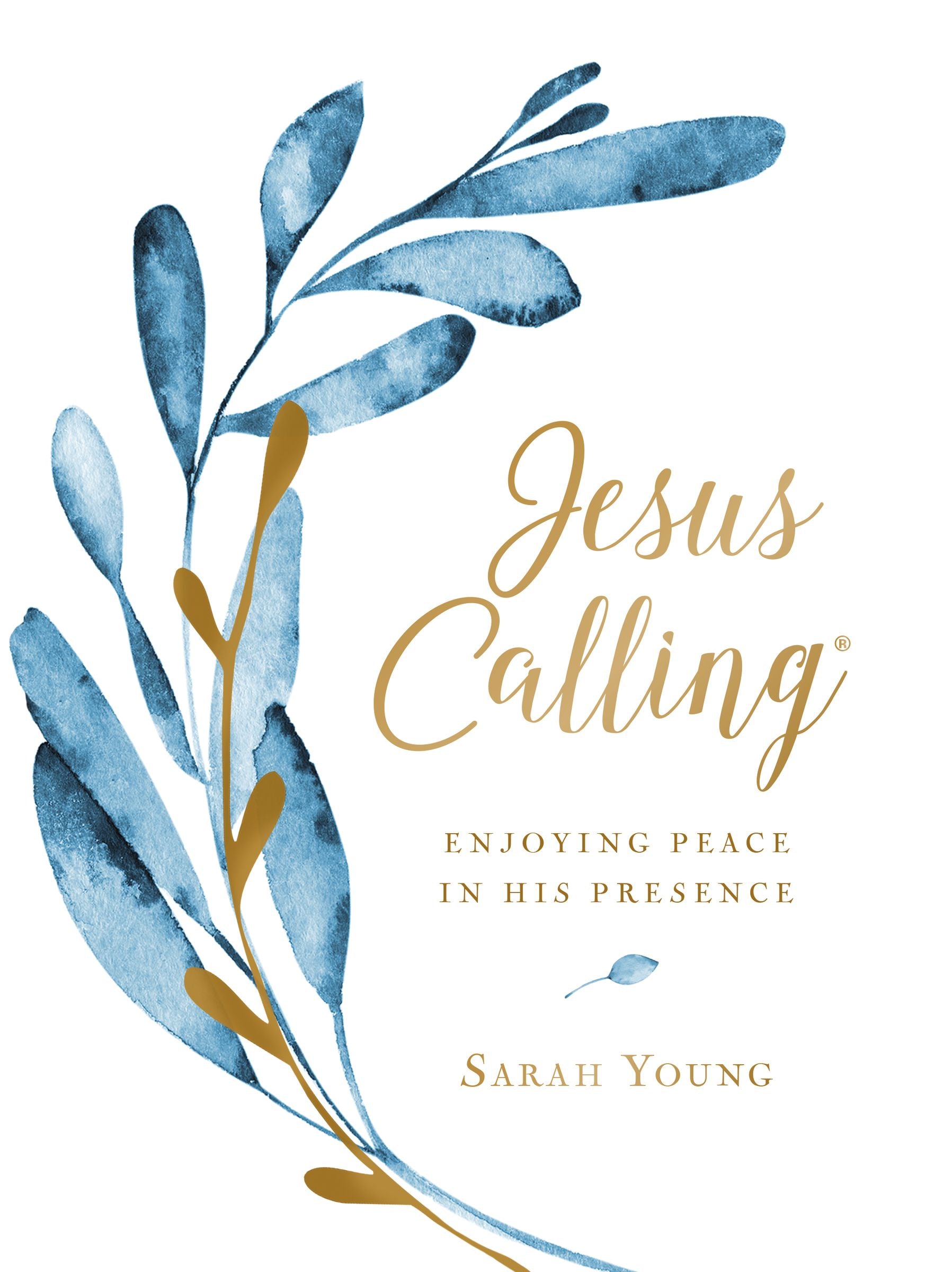 Image of Jesus Calling other