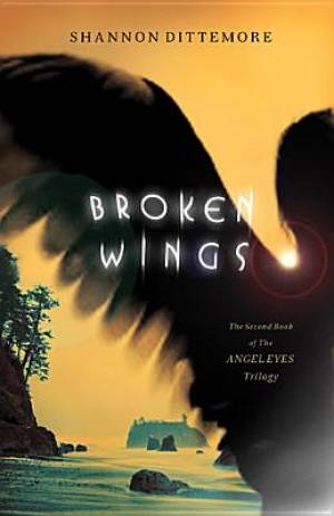 Image of Broken Wings other