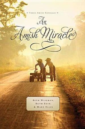 Image of An Amish Miracle other