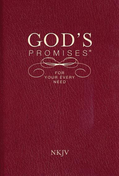 Image of Gods Promises for Your Every Need NKJV other