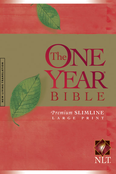 Image of NLT One Year Large Print Bible: Paperback other