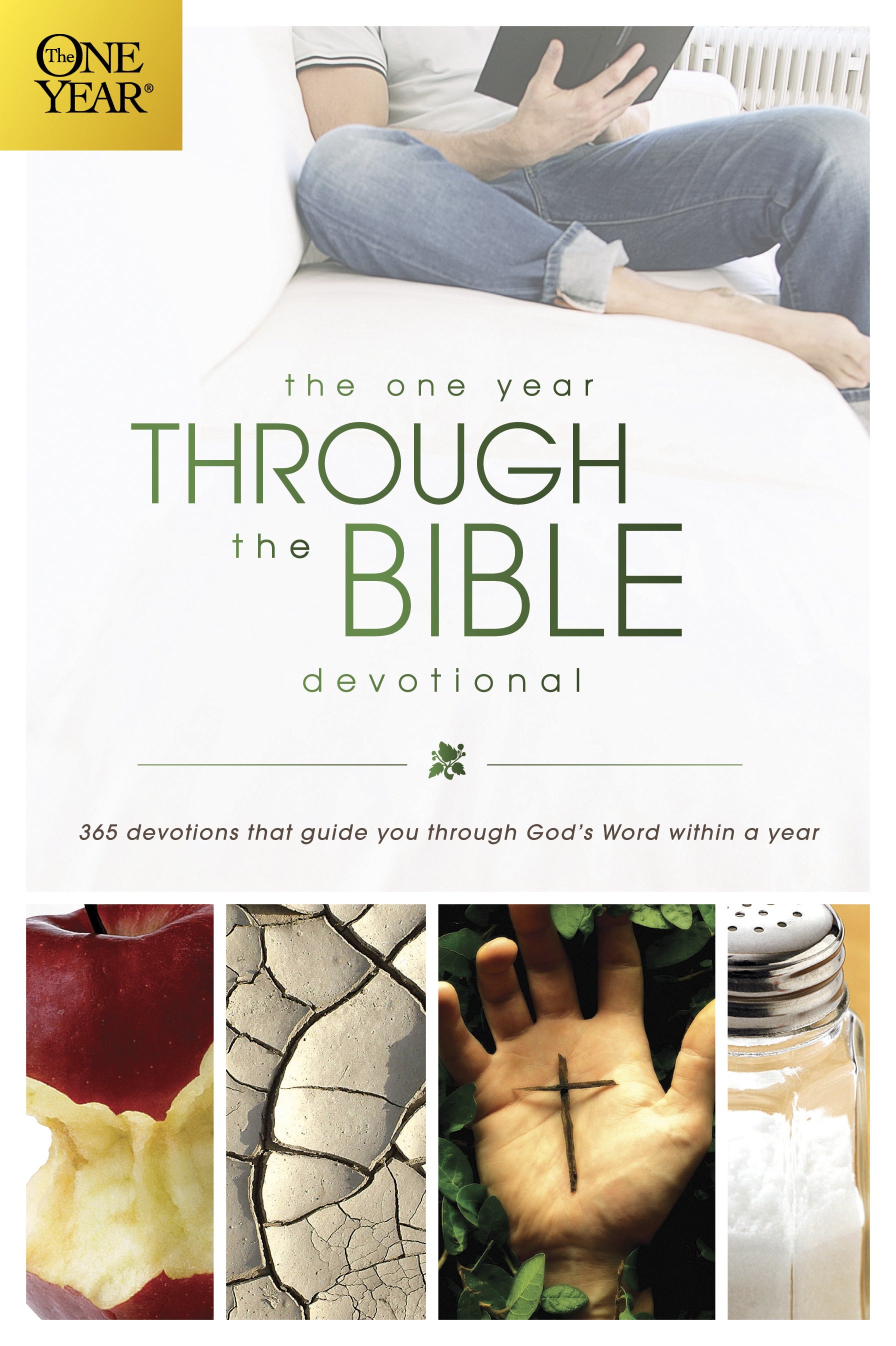 Image of One Year Through The Bible Devotional other