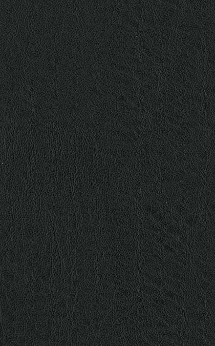 Image of NLT Giant Print Bible: Black other