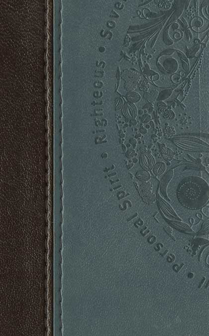 Image of NLT In His Image Devotional Bible, Dusty Blue, Imitation Leather other