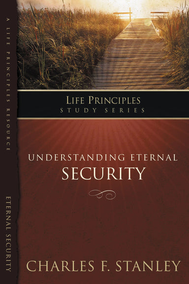 Image of Understanding Eternal Security other