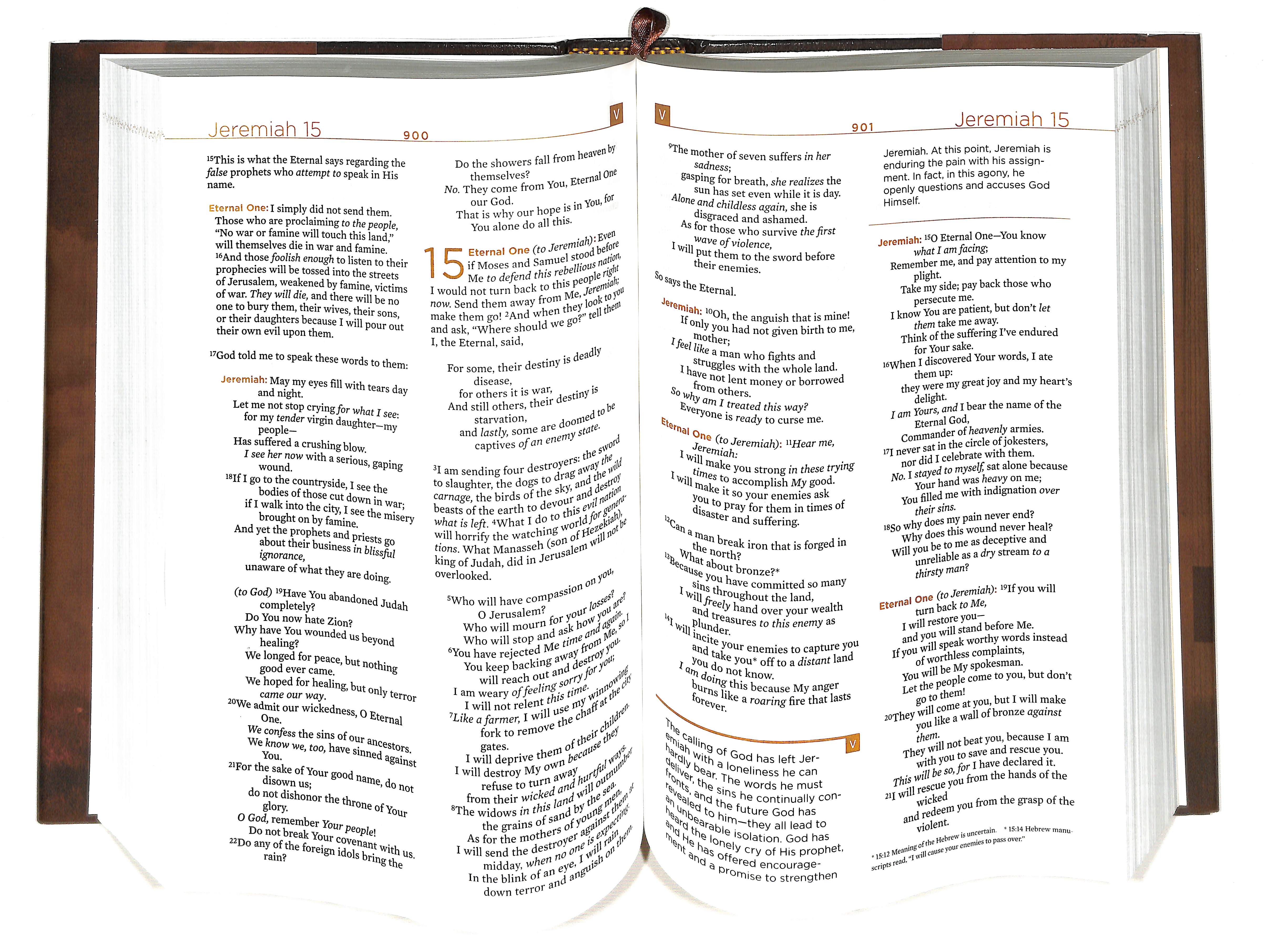 Image of The Voice Bible other