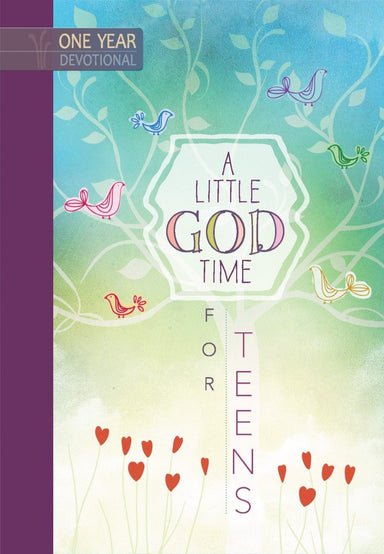 Image of A Little God Time for Teens other