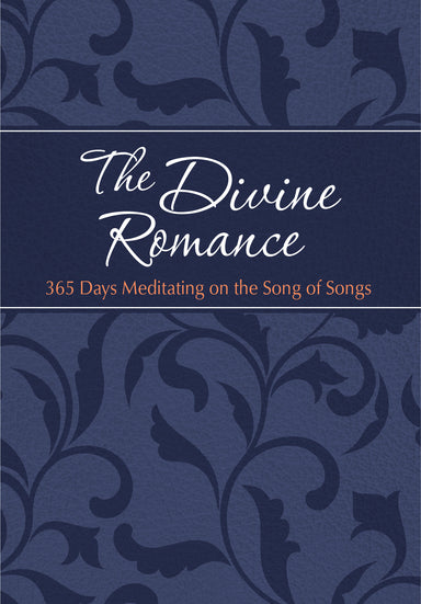 Image of 365 Days Meditating on the Song of Songs (Tpt) other