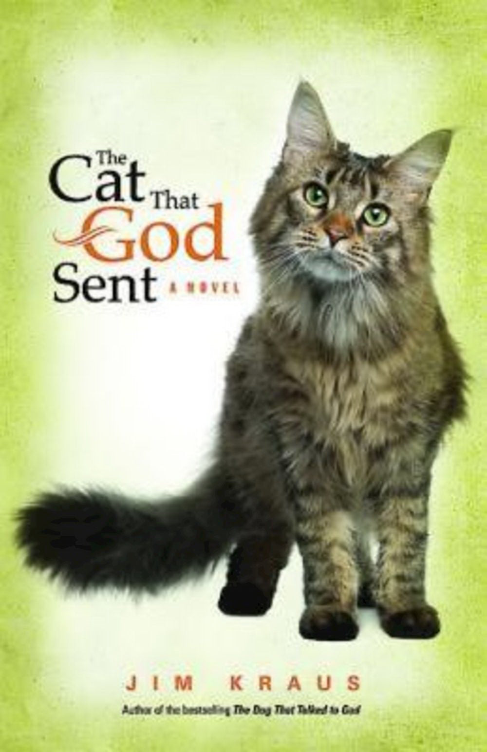 Image of The Cat That God Sent other
