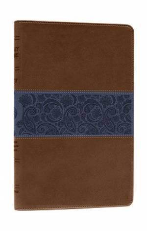 Image of ESV Thinline Bible: Chocolate & Blue, Paisley Design, Trutone  other
