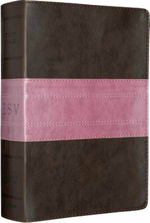 Image of ESV Study Bible: Trail Design, Chocolate & Rose, TruTone other