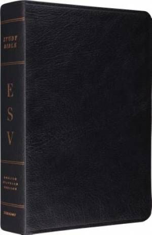Image of ESV Study Bible (Black Leather, Indexed) other