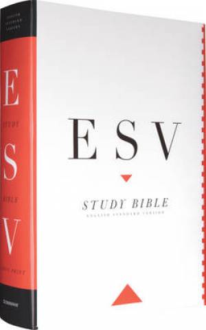 Image of ESV Study Bible Large Print Hardback other