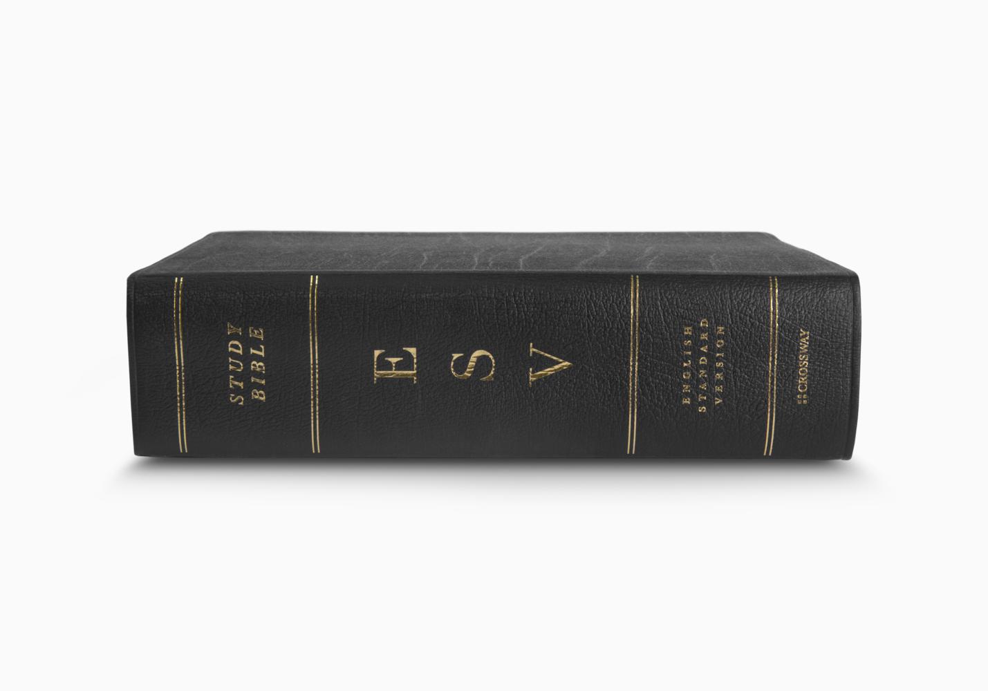 Image of ESV Study Bible, Large Print, Genuine Leather, Black, Concordance, 20,000+ Study Notes, Maps other
