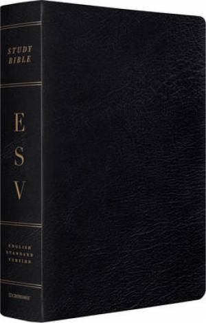 Image of ESV Study Bible, Large Print, Genuine Leather, Black, Concordance, 20,000+ Study Notes, Maps other