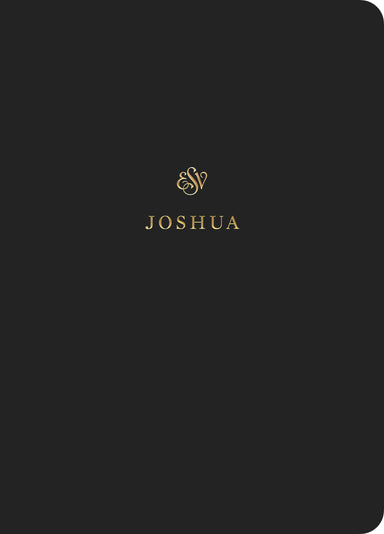 Image of ESV Scripture Journal: Joshua other