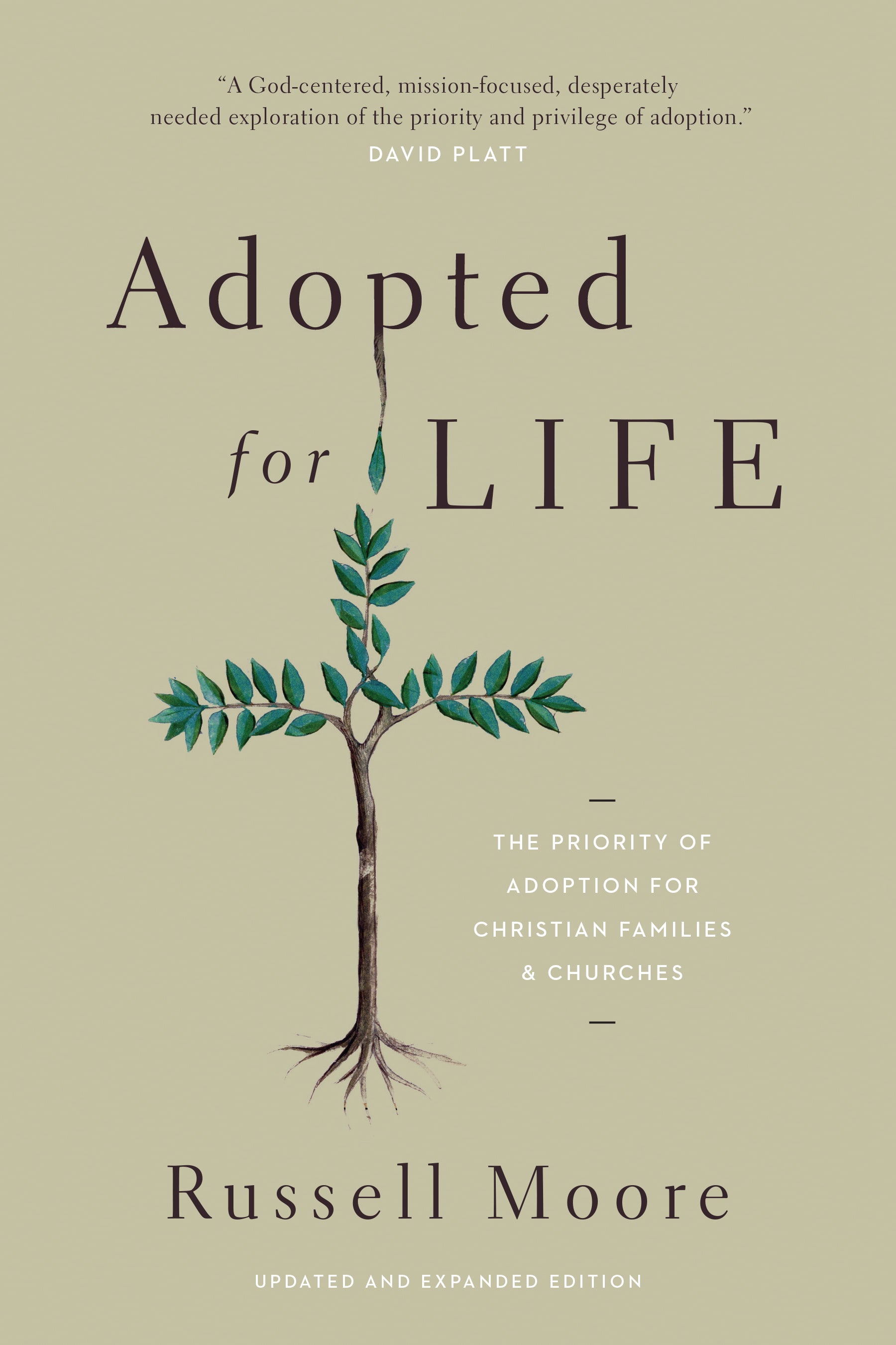 Image of Adopted for Life other