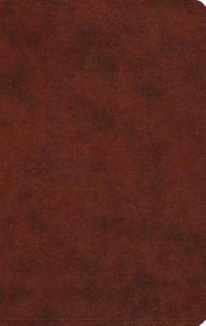 Image of ESV Large Print Value Thinline Bible (TruTone, Chestnut) other
