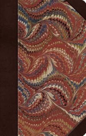 Image of ESV Thinline Bible (Classic Marbled) other