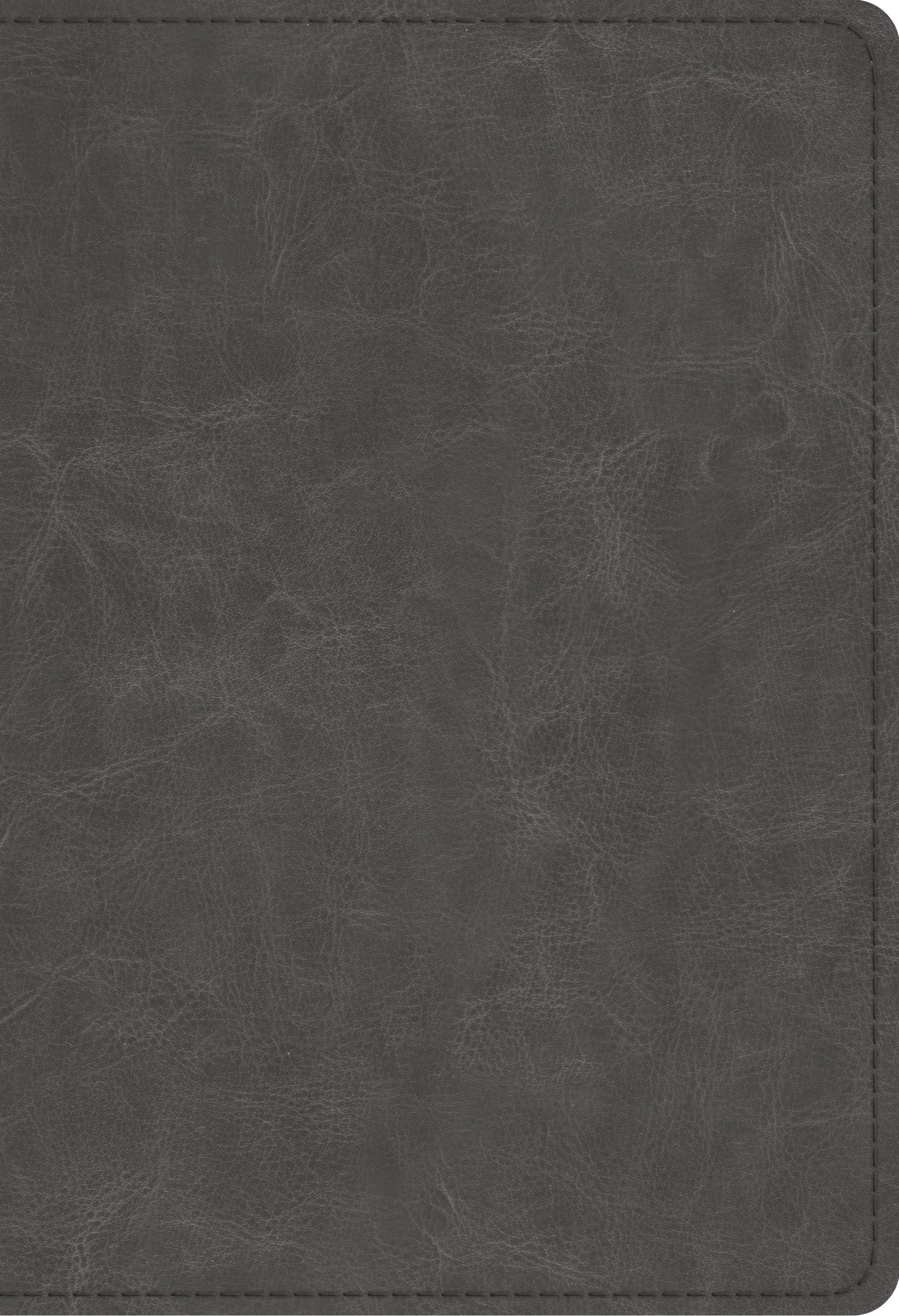 Image of ESV Student Study Bible, Imitation Leather, Gray, Study Notes, Concordance, Maps, Topical Articles other
