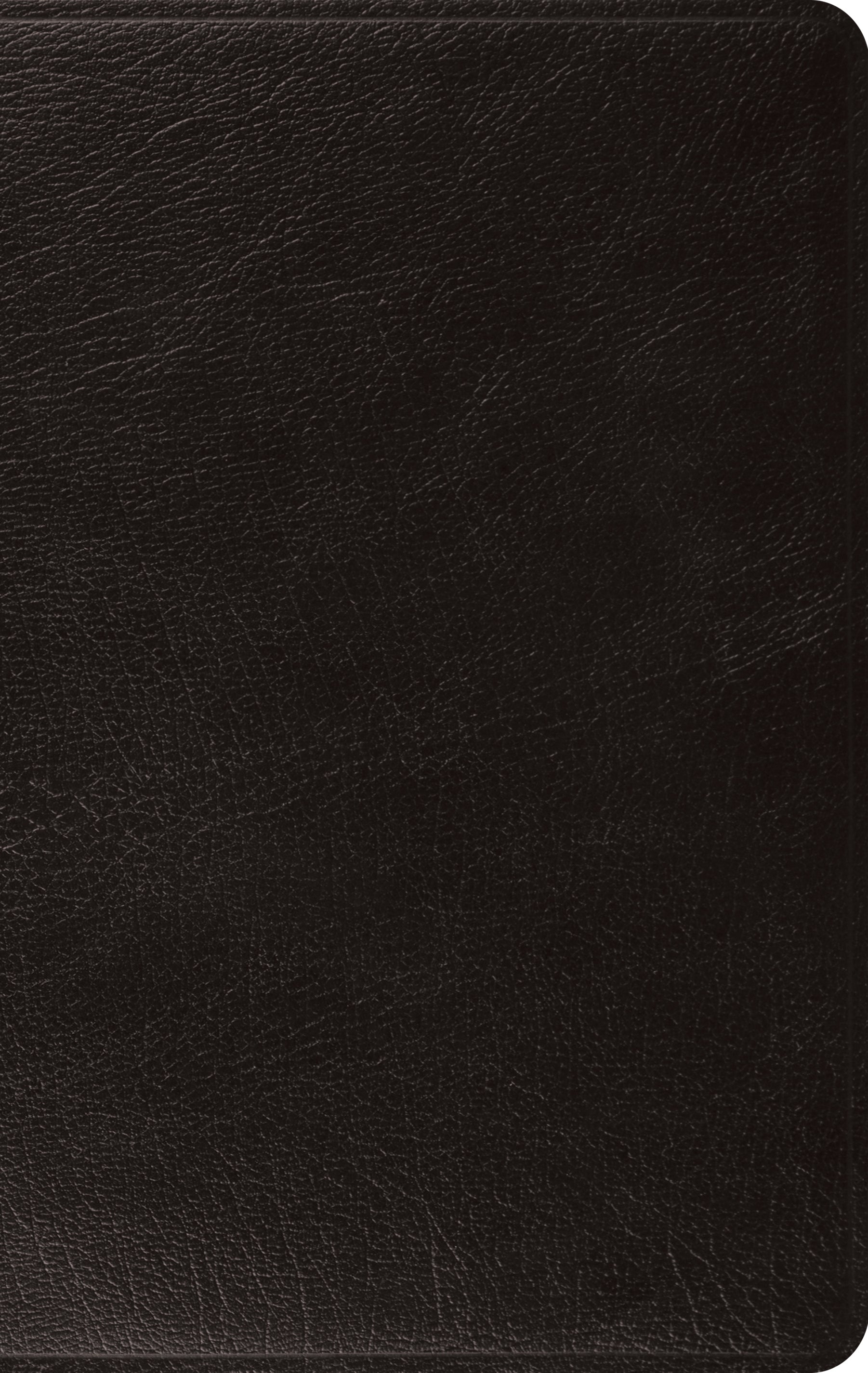 Image of ESV Large Print Thinline Bible (Black) other