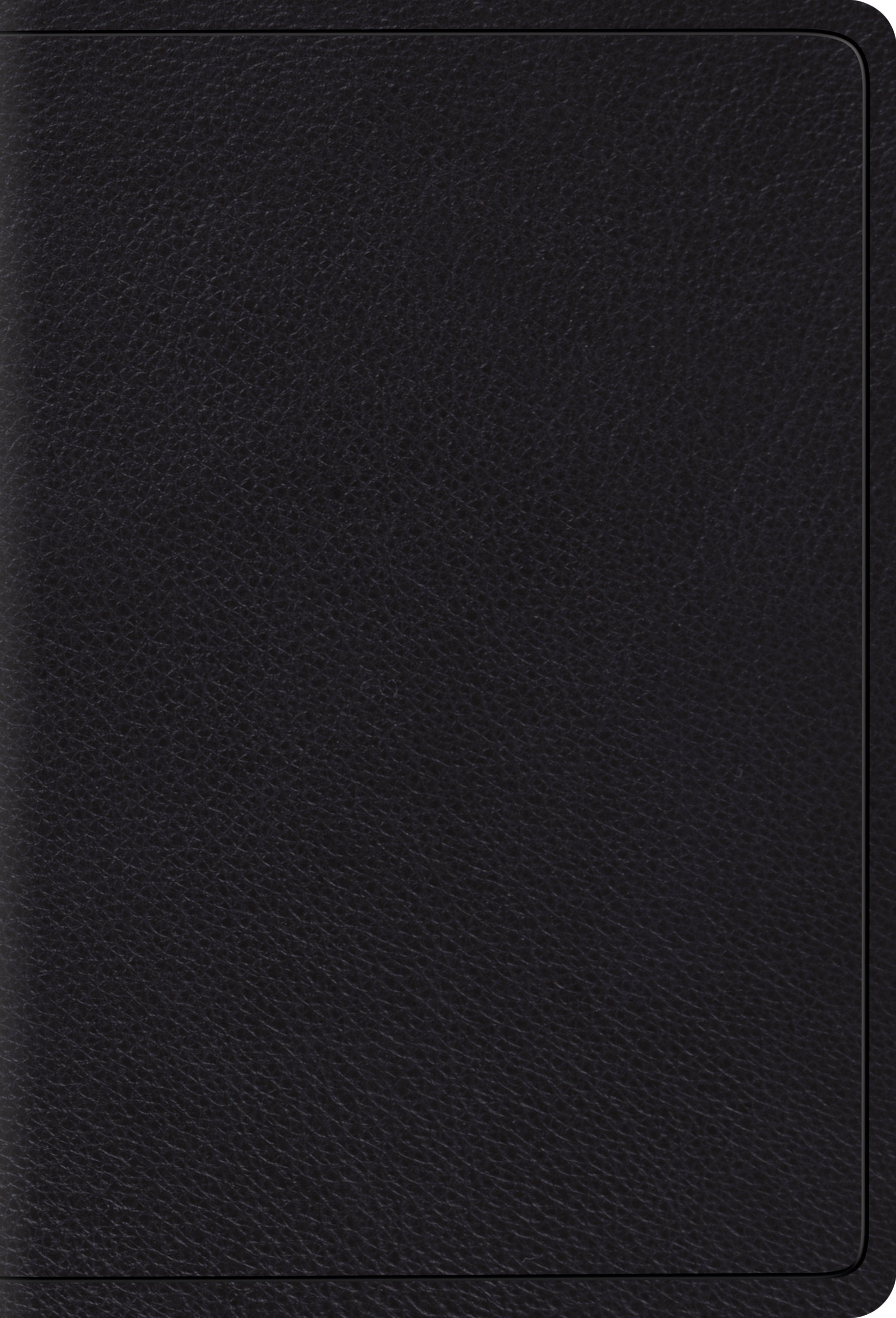 Image of ESV Large Print Compact Bible other