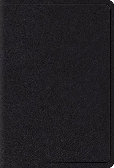Image of ESV Large Print Compact Bible other