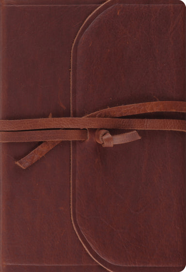 Image of ESV Student Study Bible other