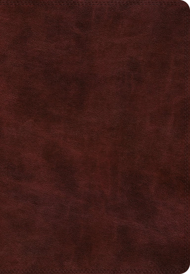 Image of ESV Super Giant Print Bible (TruTone, Burgundy) other