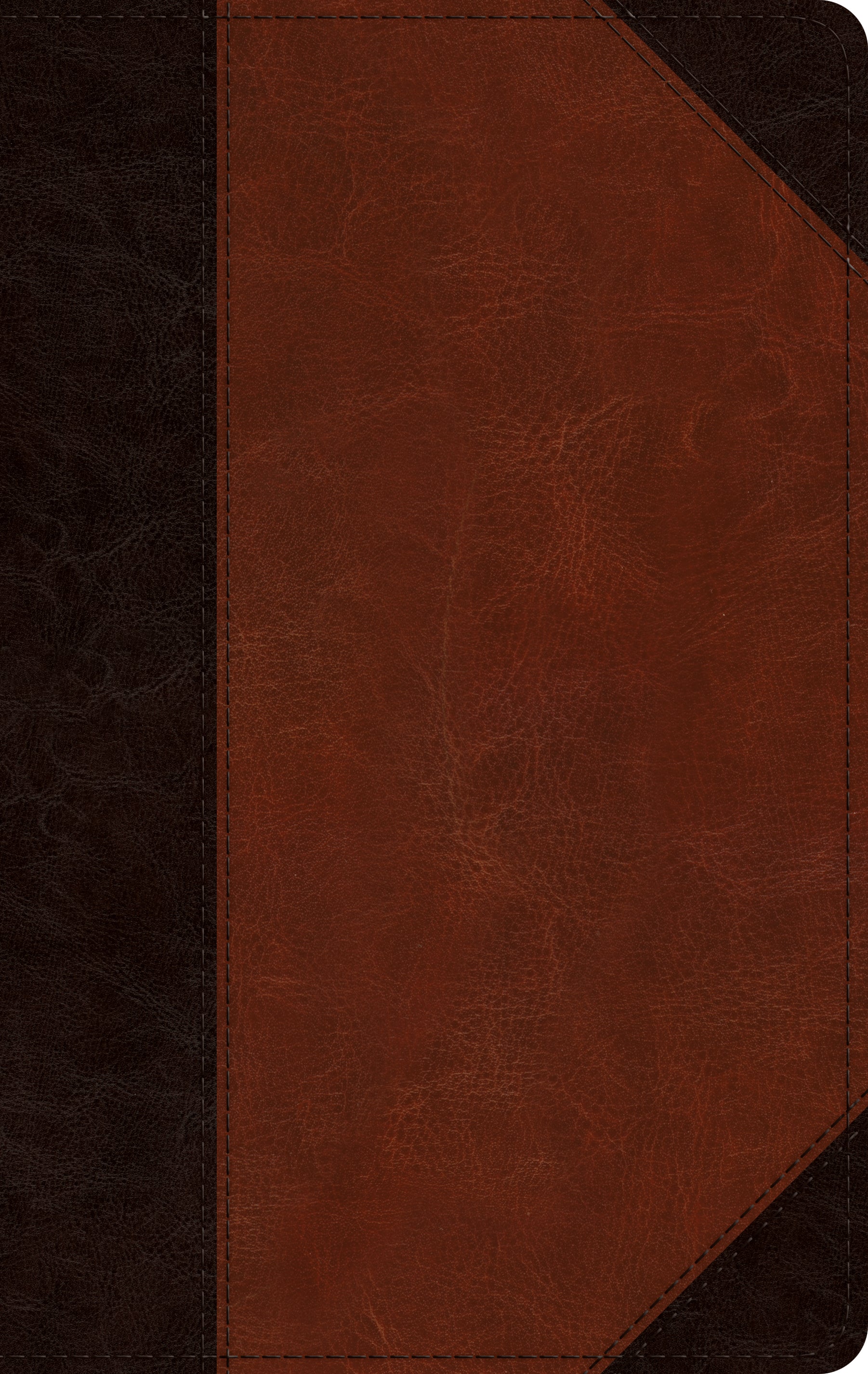 Image of ESV Large Print Personal Size Bible other